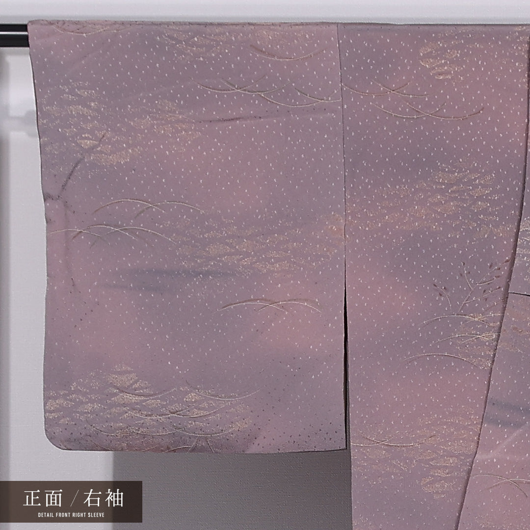 小紋 袷 身丈152cm 裄丈62cm 正絹 Aランク インフォーマル 広衿 Sサイズ ぼかし染 芝草 ピンク系 RP 1221-11878