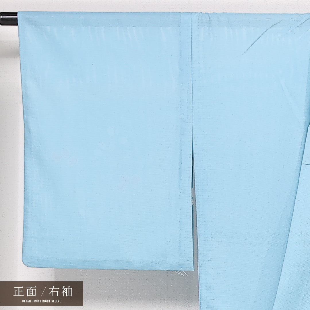 夏物 訪問着 絽 身丈166cm 裄丈64cm ポリエステル 洗える着物 Aランク セミフォーマル 広衿 XLサイズ 植物柄 抽象的 爽やか 水色系 RP 1217-13386