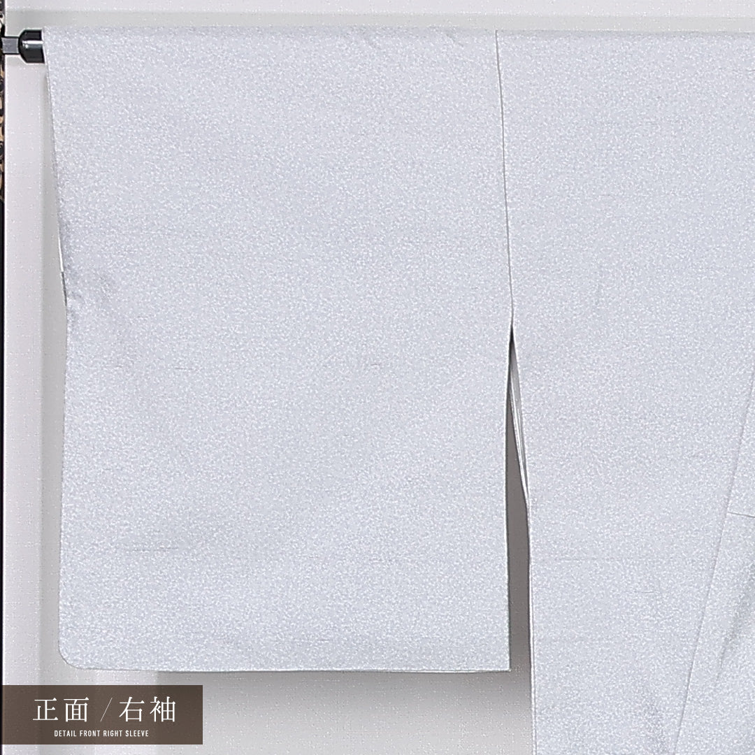訪問着 袷 身丈161cm 裄丈67cm 正絹 Sランク セミフォーマル 広衿 Lサイズ 濱屋修一郎 作家物 落款 笹 グレー系 RP 1217-12391