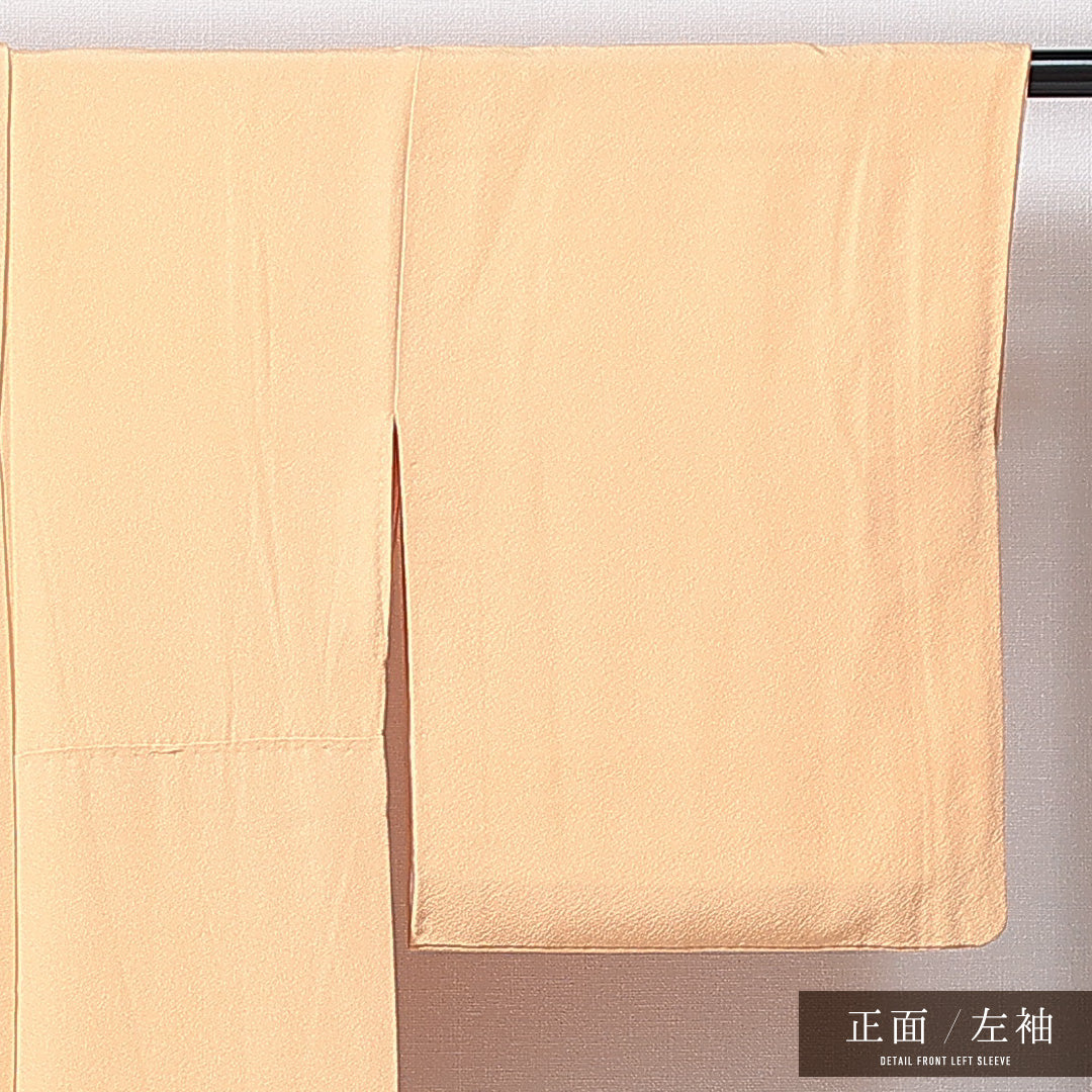色無地 袷 身丈157cm 裄丈61cm 正絹 Bランク 一つ紋 (剣片喰) セミフォーマル 広衿 Mサイズ 無地 ベージュ系 RP 1219-14955