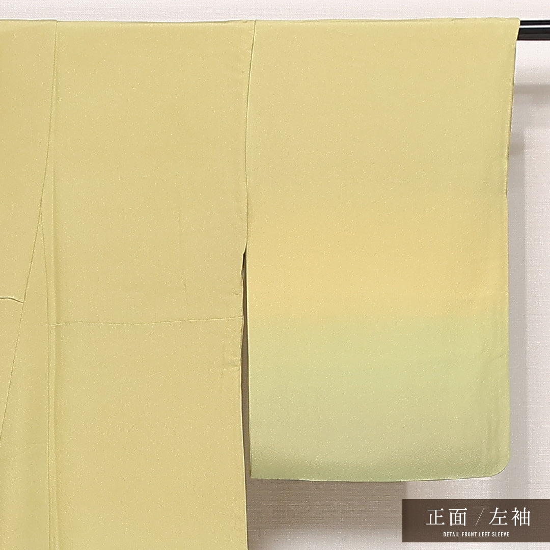 付下げ 袷 身丈163cm 裄丈64cm 正絹 Aランク インフォーマル 広衿 Lサイズ 墨流し ぼかし染 緑系 RP 1218-13308