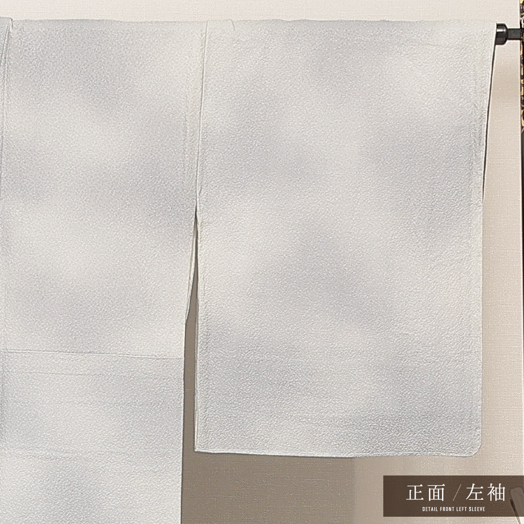 付下げ 1218-17006 左袖