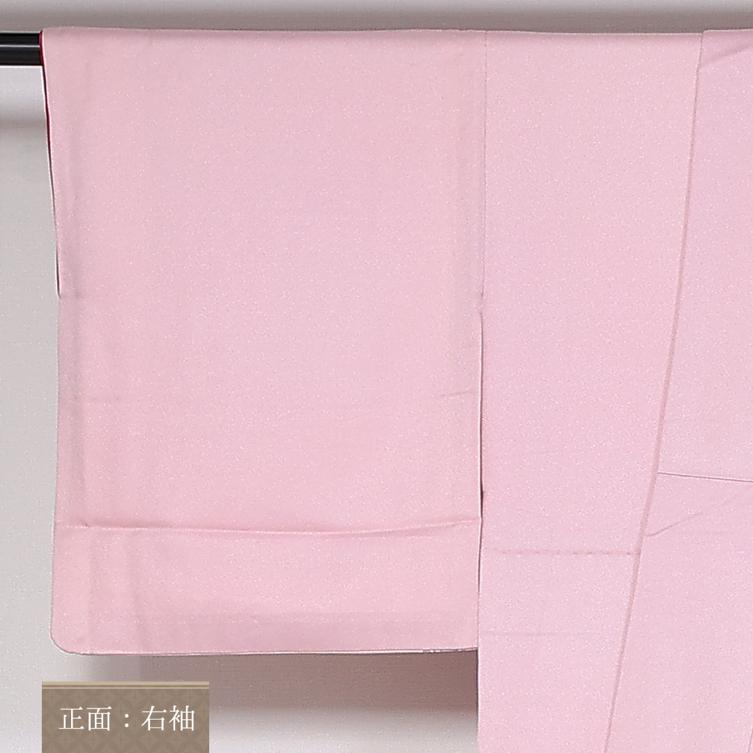 訪問着 袷 身丈161cm 裄64.5cm 正絹 アラベスク 革草 Aランク 1212-00789