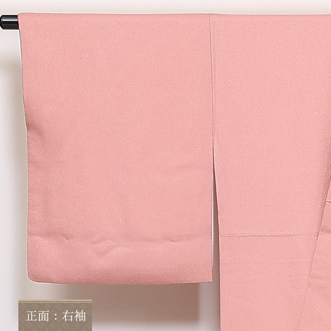 訪問着 袷 身丈163cm 裄丈65cm 正絹 Bランク 一つ紋 セミフォーマル 広衿 Lサイズ 金彩 波頭 笠松 ピンク系 RP 1217-04693