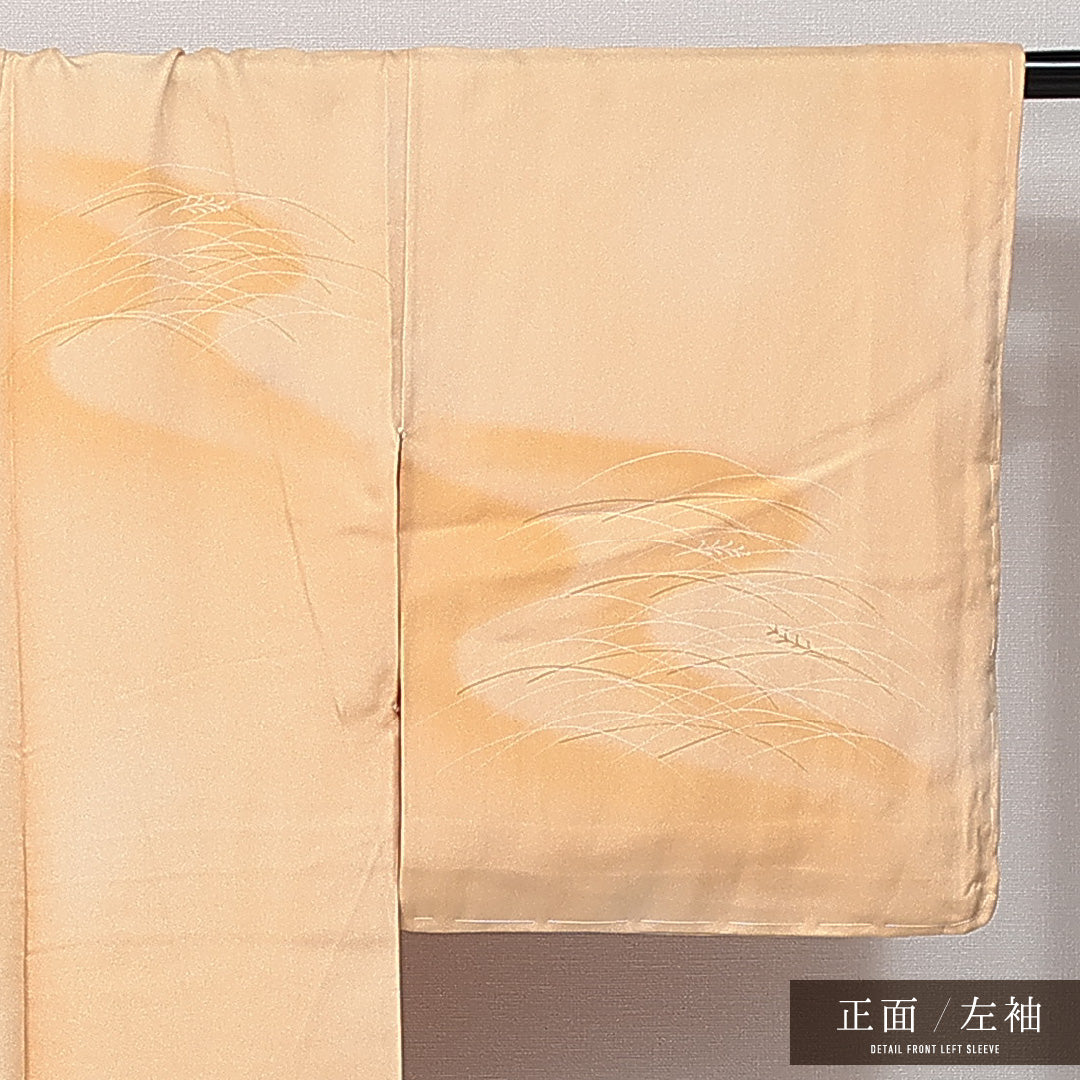 付下げ 袷 身丈167cm 裄丈64cm 正絹 Aランク インフォーマル 広衿 XLサイズ しつけ糸 流水 芝草 クリーム系 RP 1218-14407