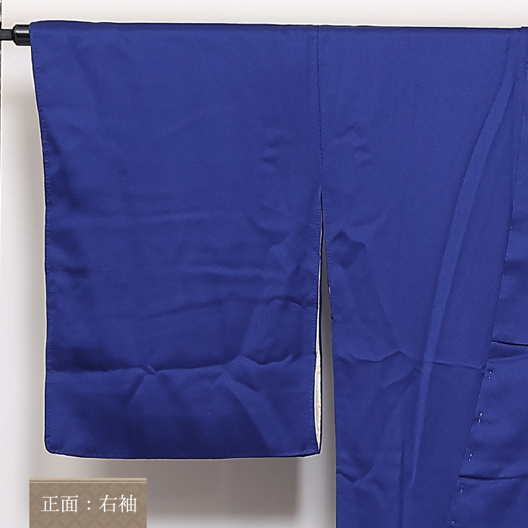 訪問着 袷 身丈167cm 裄66.5cm 正絹 孔雀 Bランク 1212-00699