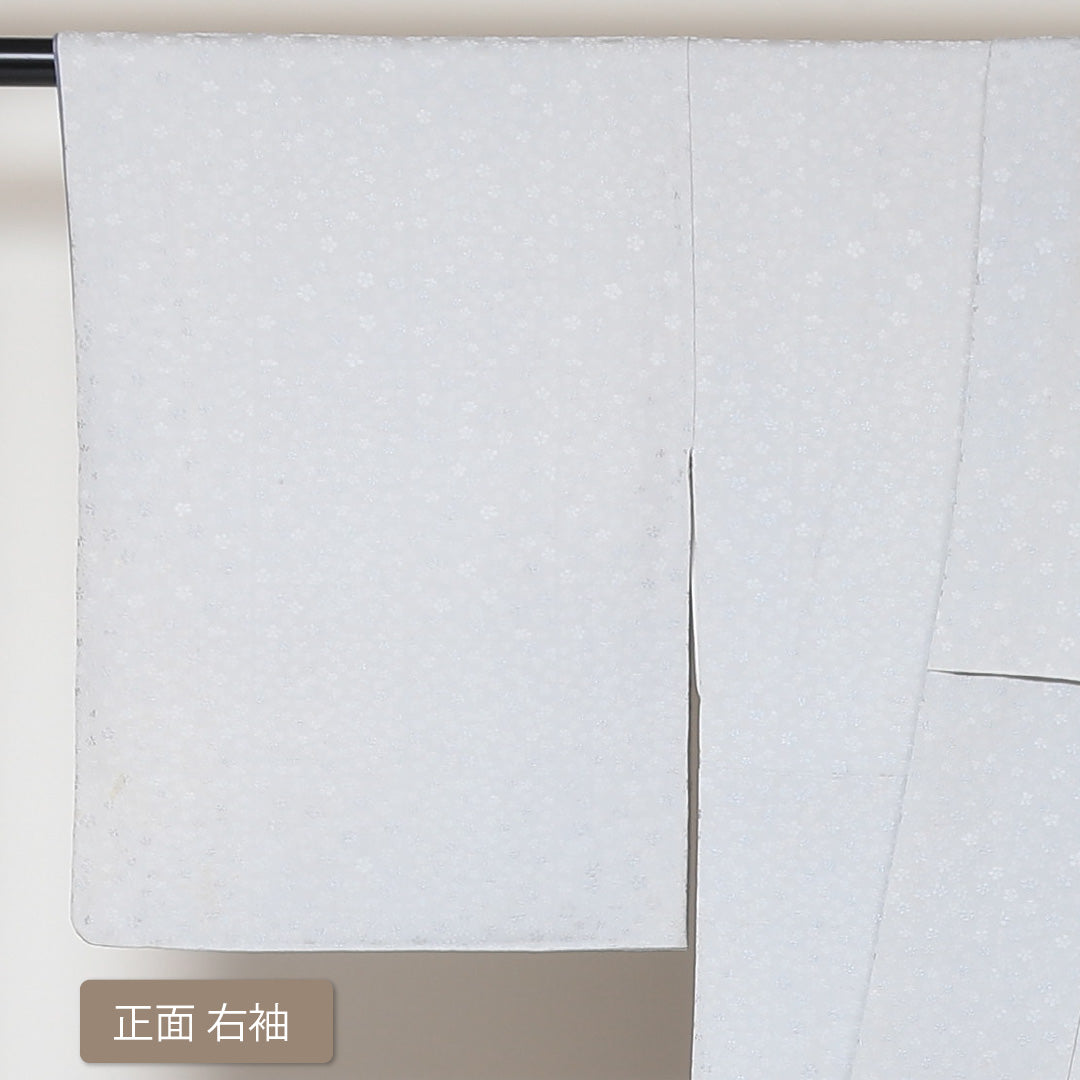 訪問着 袷 身丈157cm 裄丈64cm 正絹 Bランク 一つ紋 (丸に左三階松) セミフォーマル 広衿 Mサイズ 龍 グレー系 RP 1217-04367