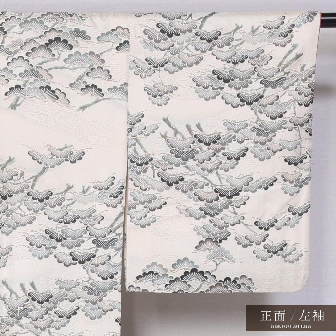 小紋 袷 身丈154cm 裄丈63cm 正絹 Bランク インフォーマル 広衿 Sサイズ 笠松 白系 RP 1221-11489