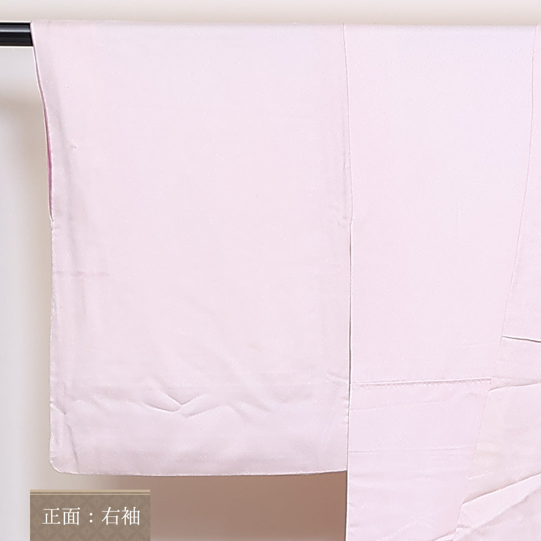 訪問着 袷 身丈164cm 裄64cm 正絹 観世水 鴛鴦 笠松 菊 Aランク 1212-00686
