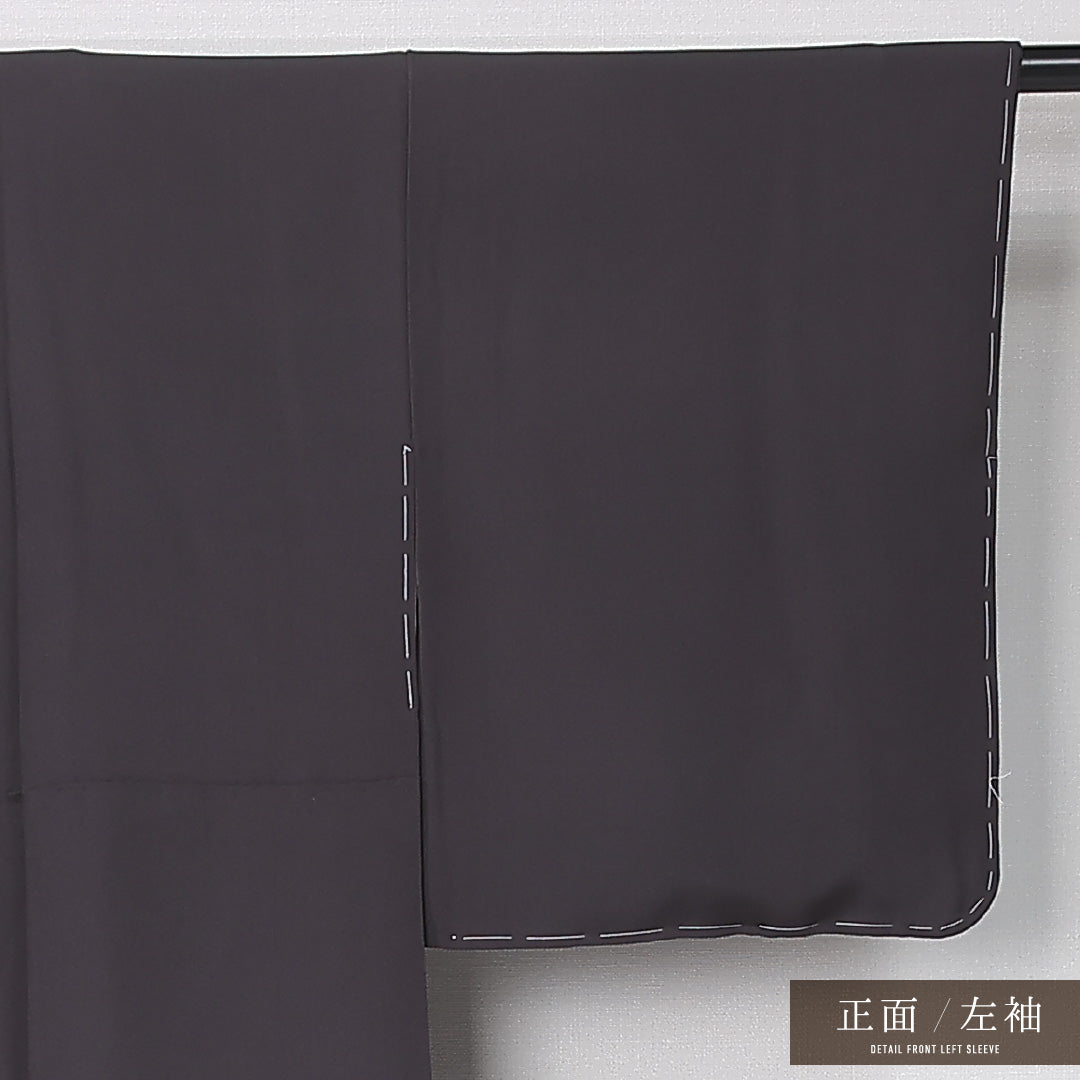訪問着 袷 身丈162cm 裄丈65cm 正絹 Sランク 三つ紋 (下り藤) フォーマル 広衿 Lサイズ 遠山 グレー系 RP 1217-12436