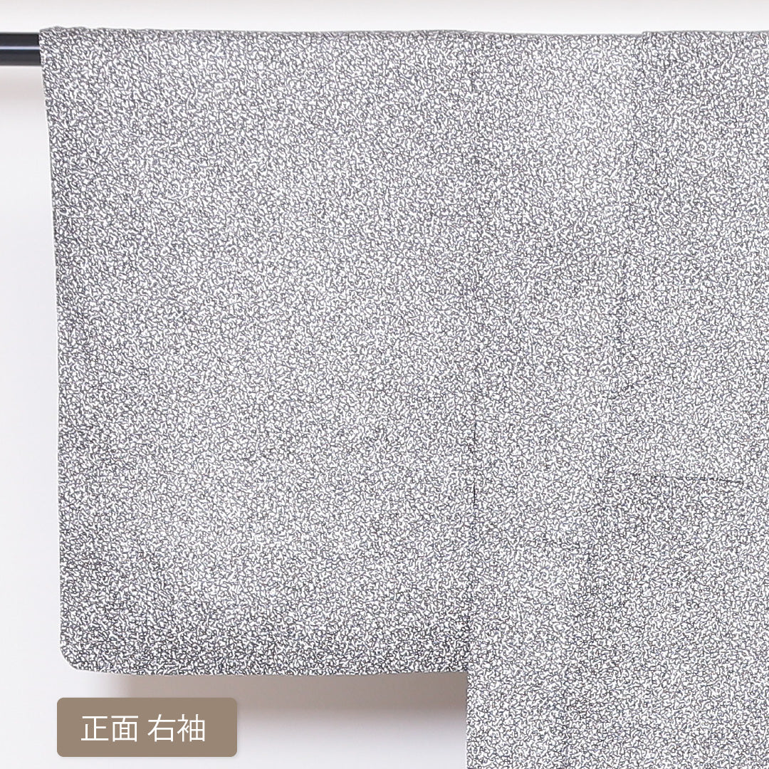 付下げ 袷 身丈164cm 裄丈64cm 正絹 Sランク インフォーマル 広衿 Lサイズ 笹 黒系 RP 1218-04451