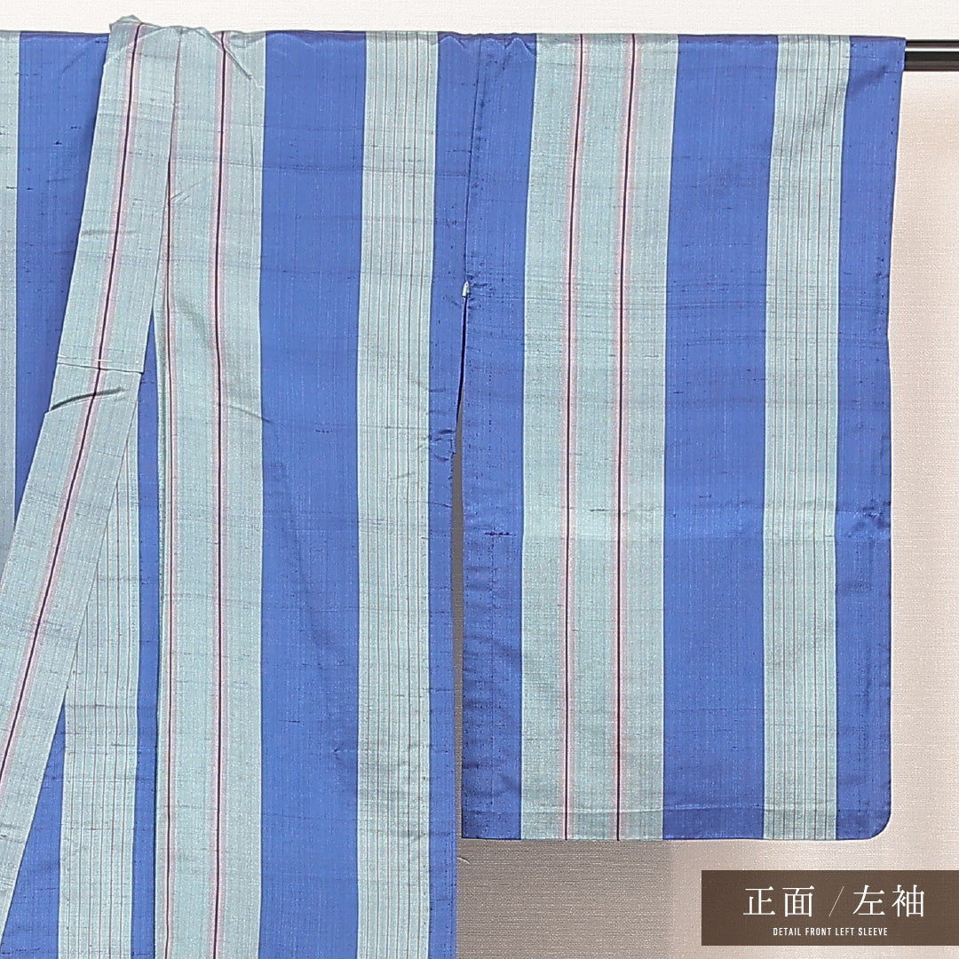 小紋 1221-17116 左袖