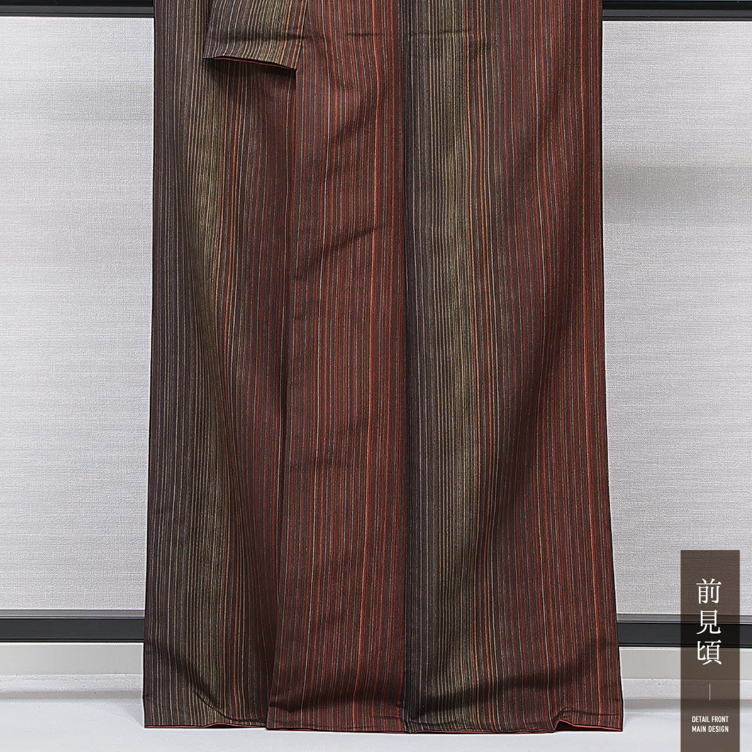 洗える着物 小紋 袷 身丈166cm 裄丈66cm ポリエステル Sランク インフォーマル 広衿 XLサイズ 縞 多色系 RP 1221-15636