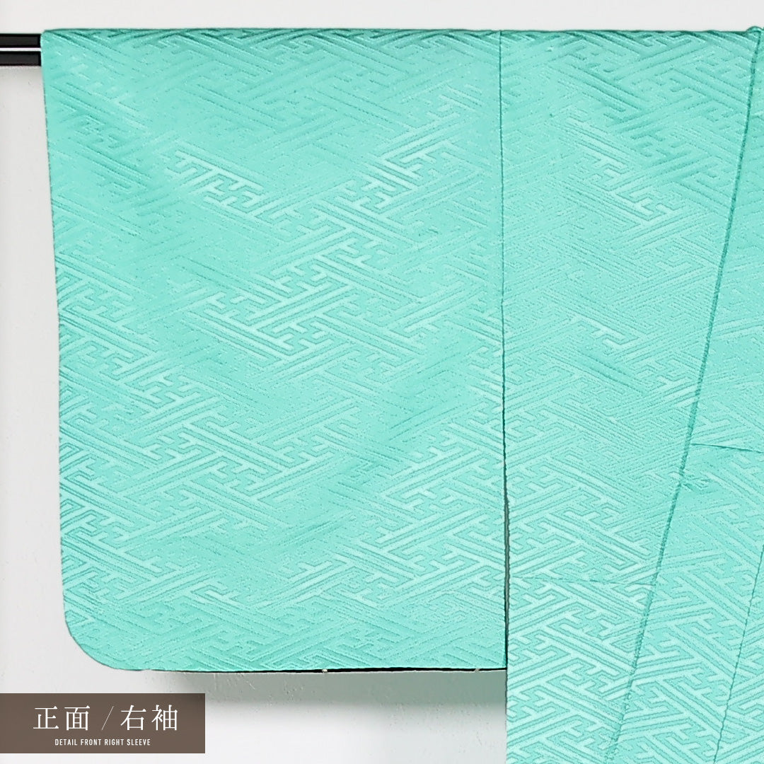 洗える着物 訪問着 袷 身丈158cm 裄丈65cm ポリエステル Sランク 踊り用 バチ衿 Mサイズ 雪輪 緑系 LP 1217-17513