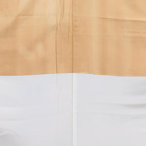 小紋 袷 身丈160cm 裄63.5cm クリーム系 ぼかし 紗彩形 正絹 Sランク 1215013562415