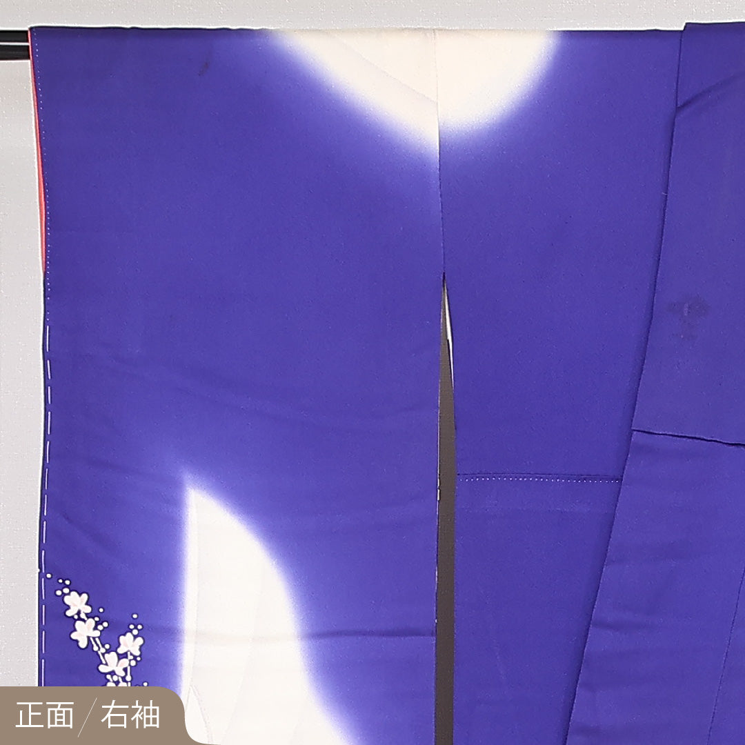 振袖 袷 身丈166cm 裄丈65cm 正絹 Bランク フォーマル 広衿 XLサイズ 鳳凰 青系 RP 1215-06801