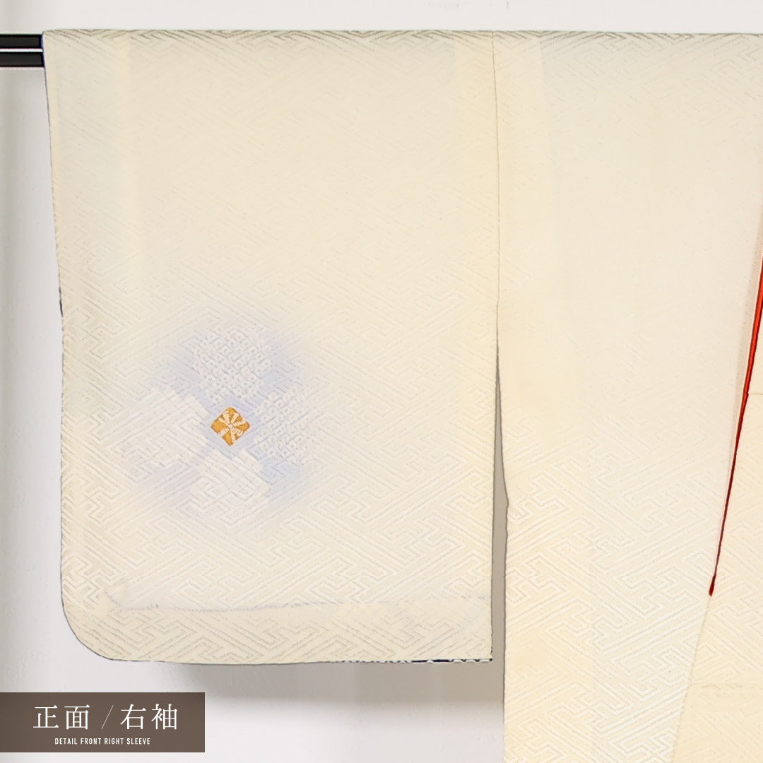 洗える着物 付下げ 袷 身丈161cm 裄丈66cm ポリエステル Aランク 踊り用 バチ衿 Mサイズ 幾何学柄 クリーム系 RP 1218-17435