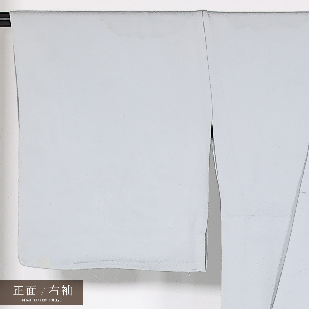 付下げ 単衣 身丈160cm 裄丈66cm 正絹 Cランク インフォーマル 広衿 Lサイズ 汕頭刺繍 居敷当て 丸文 グレー系 LP 1218-17516