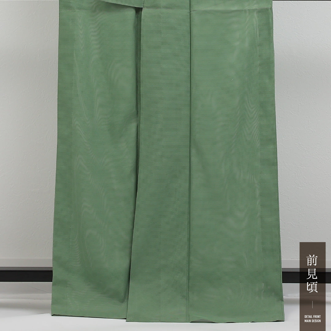 夏物 洗える着物 色無地 絽 身丈163cm 裄丈65cm ポリエステル Cランク インフォーマル 広衿 XLサイズ 無地 緑系 RP 1219-17317