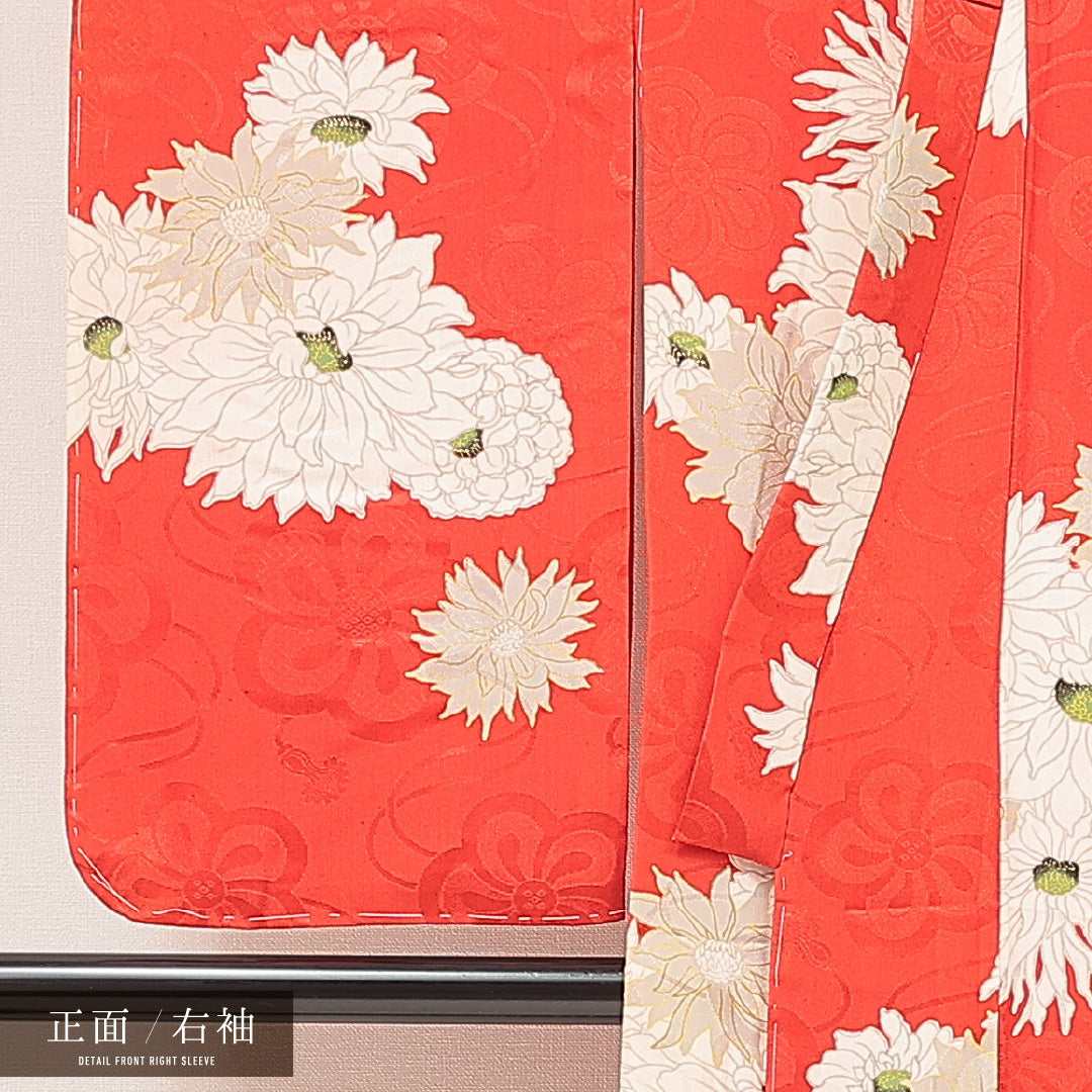 アンティーク 小振袖 (錦紗) 袷 身丈146cm 裄丈60cm 正絹 Aランク バチ衿 XSサイズ 菊 赤系 RP 1216-07106