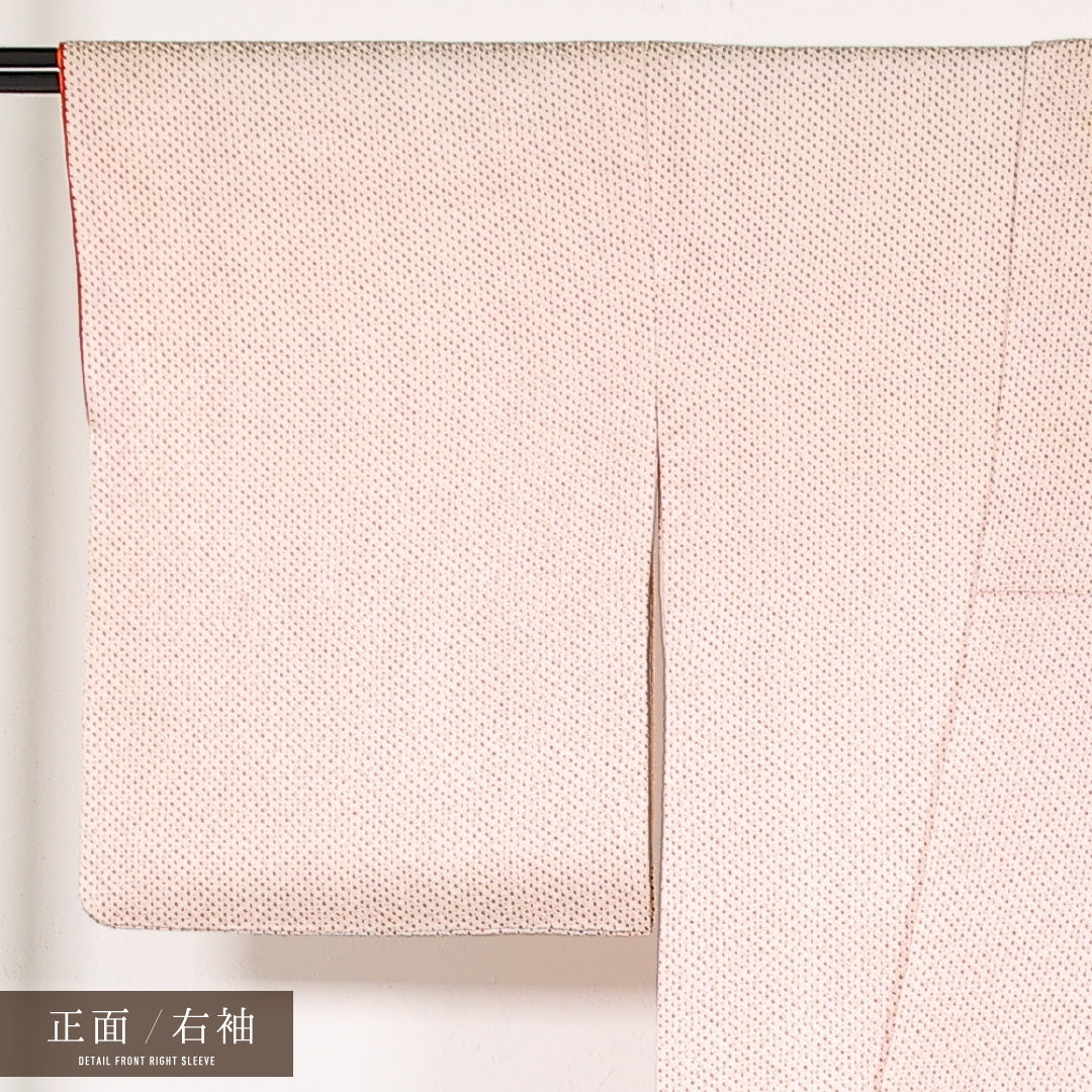 付下げ 袷 身丈156cm 裄丈63cm 正絹 Cランク インフォーマル 広衿 Sサイズ 刺繍 椿 鹿の子柄 ピンク系 RP 1218-17478