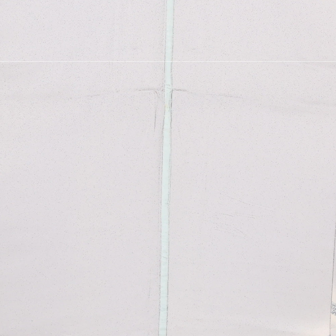 訪問着 単衣 身丈160cm 裄丈60cm 正絹 Bランク セミフォーマル 広衿 Mサイズ 椿 グレー系 RP 1217-17520