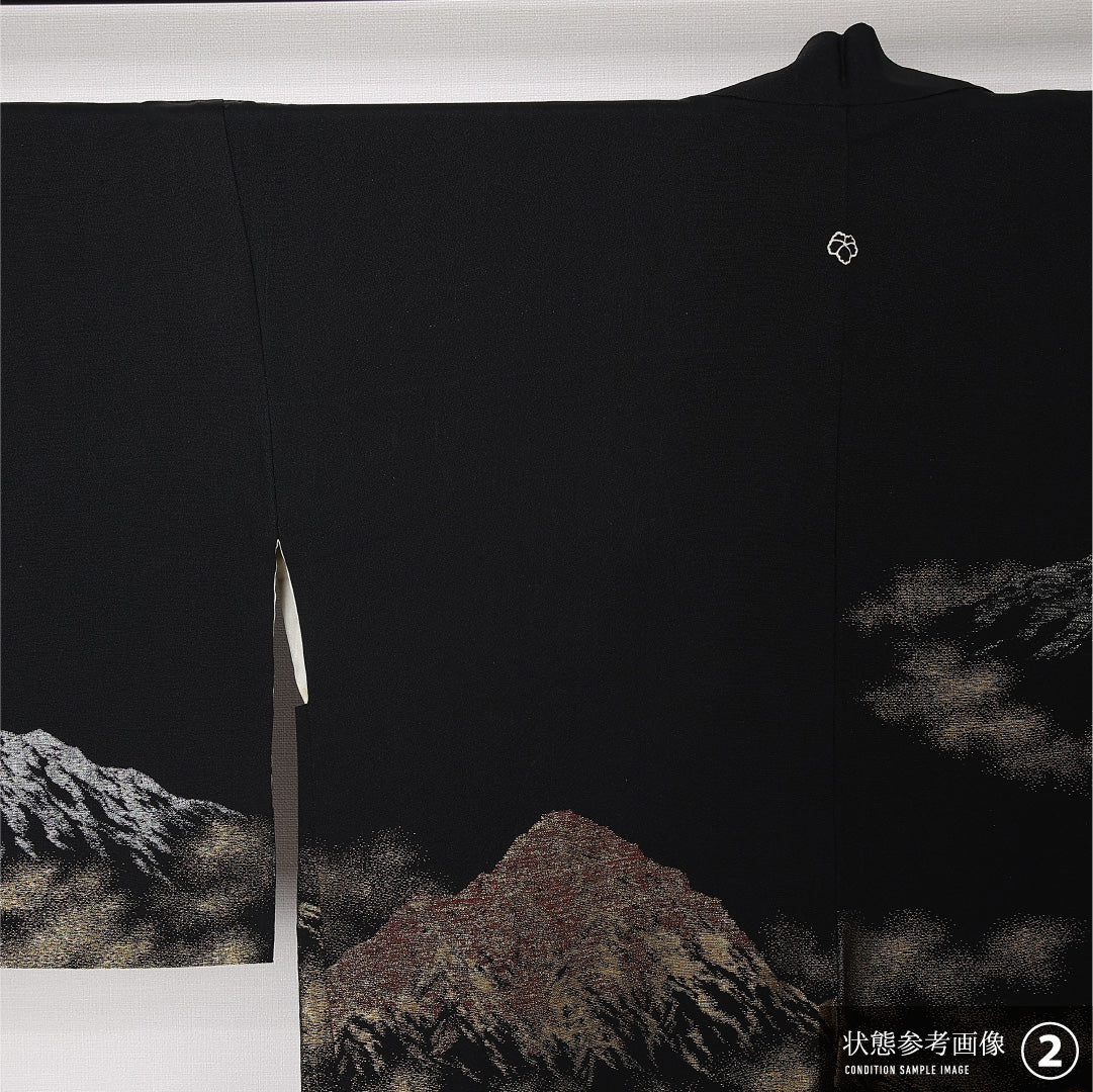 黒羽織 袷 身丈78cm 裄丈64cm 正絹 Bランク 一つ紋 (蔦) セミフォーマル Mサイズ 紐あり 山 黒系 RP 1233-12788