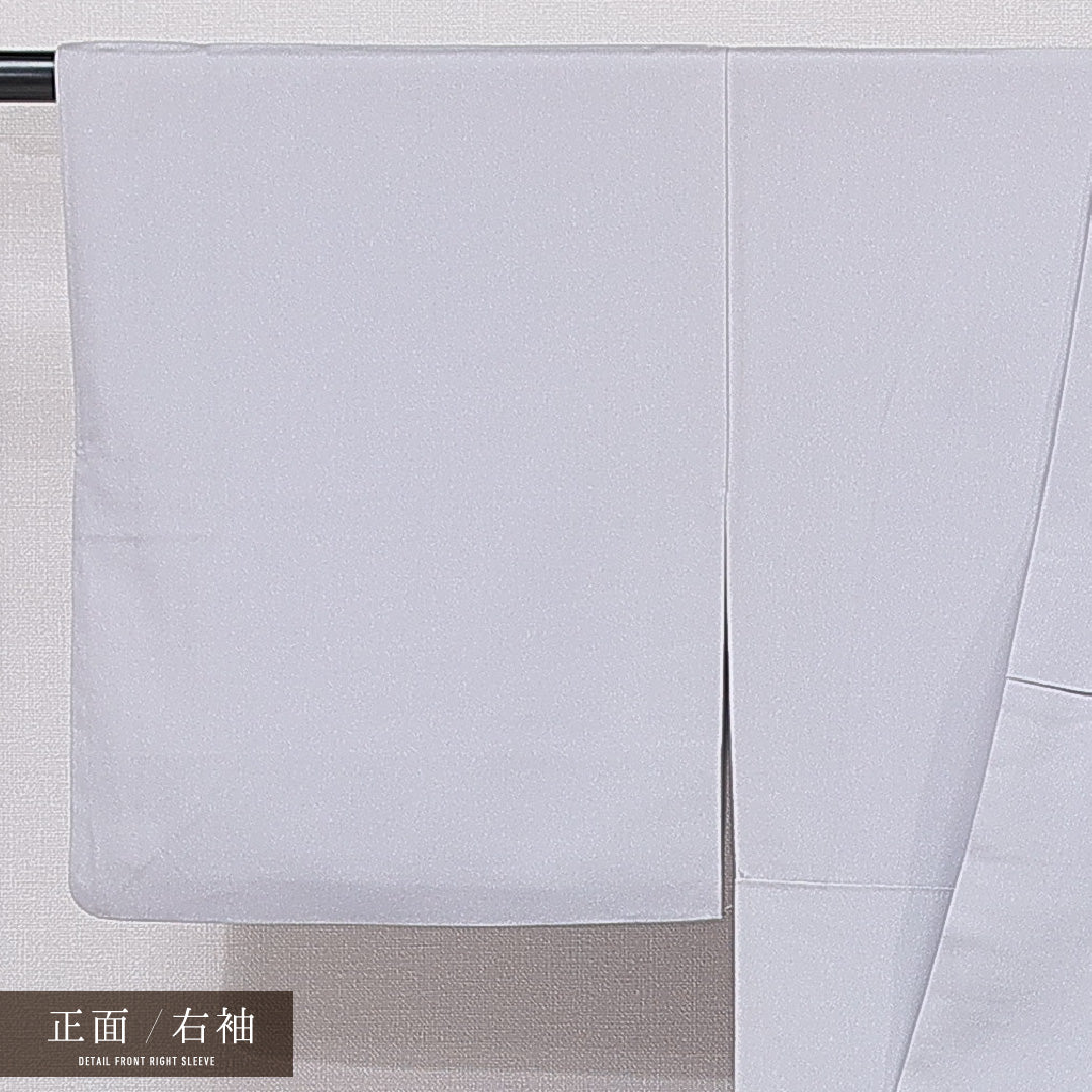 色留袖 袷 身丈150cm 裄丈63cm 正絹 Aランク 一つ紋 (丸に九つ星) セミフォーマル Sサイズ 宝尽くし グレー系 RP 1214-07092