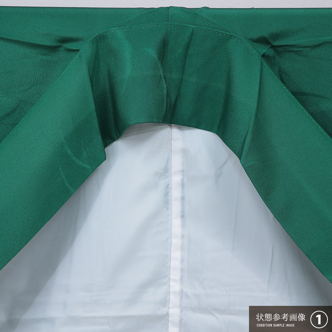 洗える着物 小振袖 袷 身丈165cm 裄丈66cm ポリエステル Sランク セミフォーマル 広衿 XLサイズ 桜 緑系 RP 1216-07071