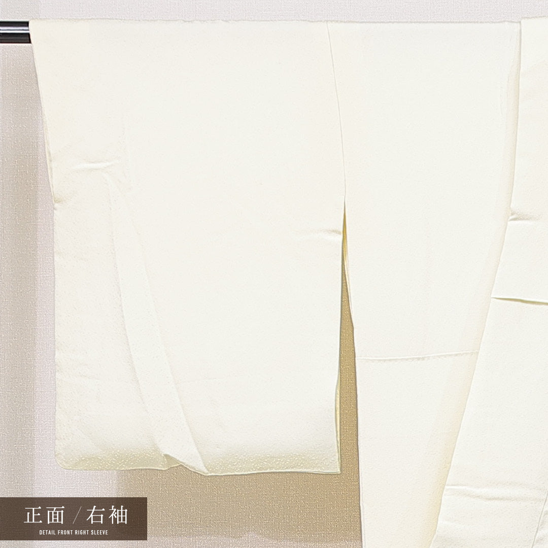 色留袖 袷 身丈159cm 裄丈65cm 正絹 Cランク セミフォーマル 広衿 Mサイズ 牡丹 黄系 LP 1214-06910