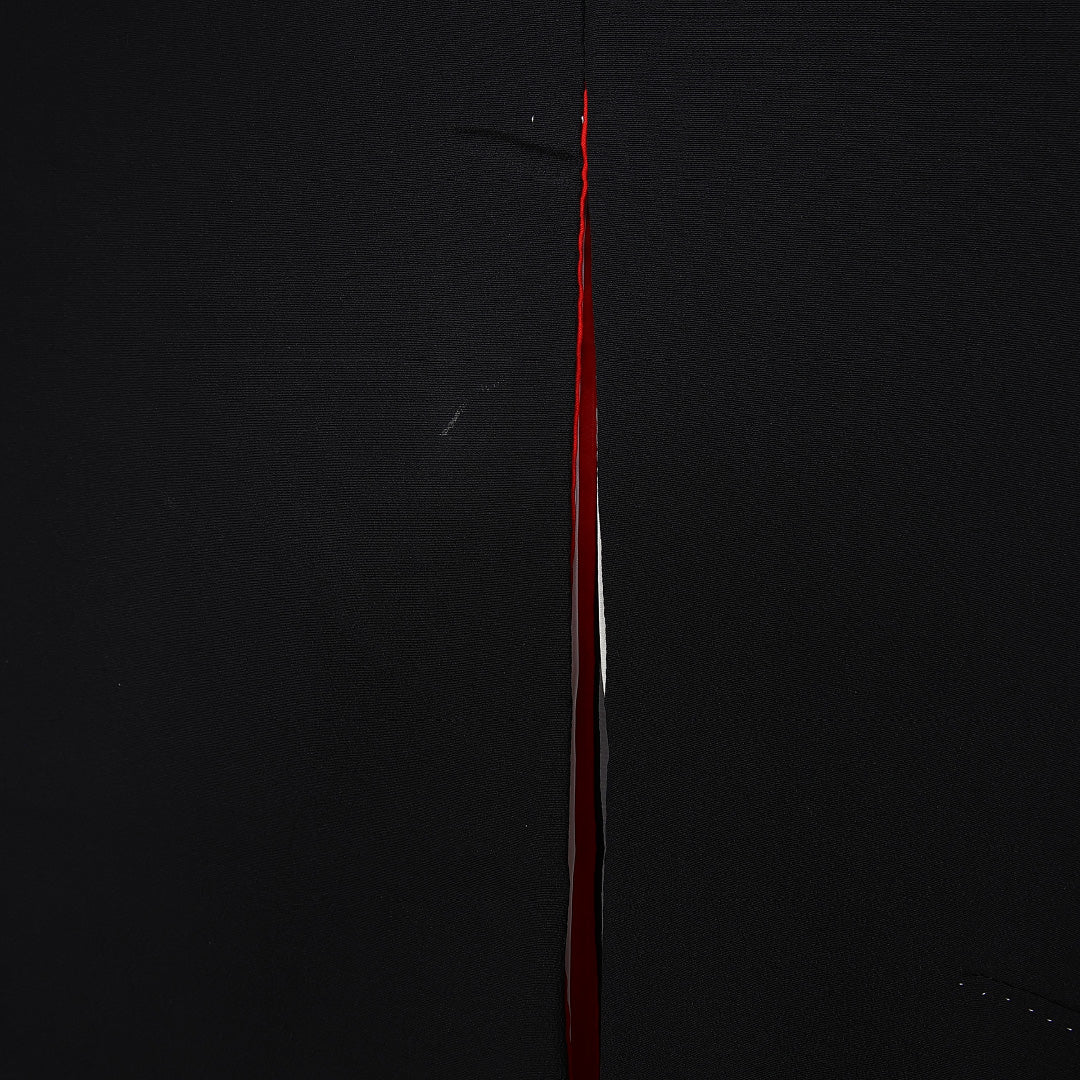 黒留袖 身丈165cm 裄丈64.5cm 袷 五つ紋 蔦 正絹 Bランク 広衿 華紋 金駒刺繍 唐花 1211-F0348
