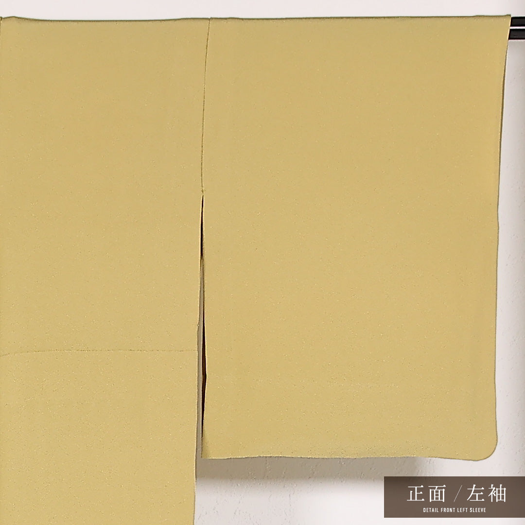 色無地 単衣 身丈154cm 裄丈64cm 正絹 Sランク 一つ紋 (沢瀉) セミフォーマル 広衿 Mサイズ 黄系 RP 1219-17494