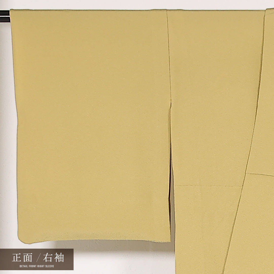 色無地 単衣 身丈154cm 裄丈64cm 正絹 Sランク 一つ紋 (沢瀉) セミフォーマル 広衿 Mサイズ 黄系 RP 1219-17494