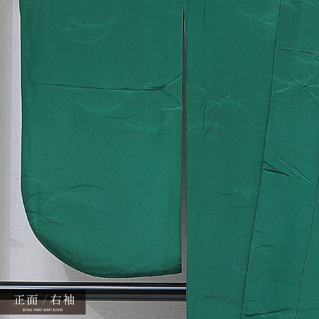 洗える着物 小振袖 袷 身丈165cm 裄丈66cm ポリエステル Sランク セミフォーマル 広衿 XLサイズ 桜 緑系 RP 1216-07071