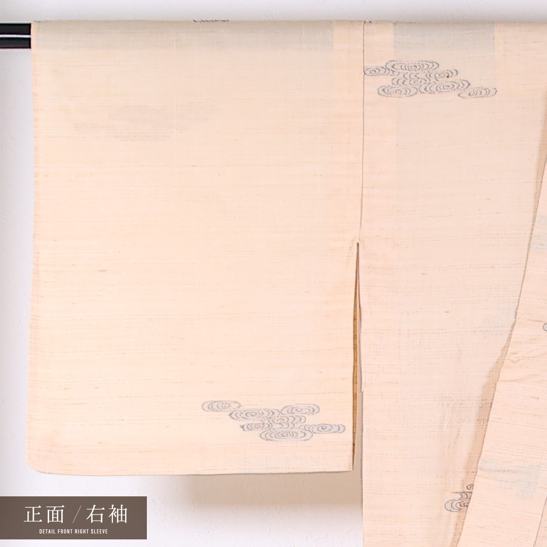 夏物 紬 夏紬 身丈154cm 裄丈62cm 正絹 Cランク カジュアル バチ衿 Sサイズ 観世水 ベージュ系 RP 1223-17346