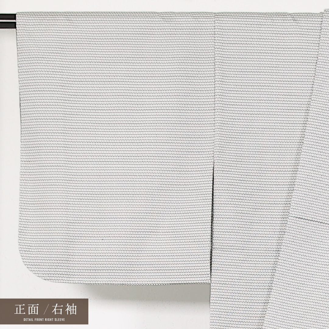 アンサンブル 洗える着物 小紋 身丈153cm 裄丈63cm ポリエステル Sランク インフォーマル 広衿 Mサイズ 亀甲 白系 RP 1221-17483
