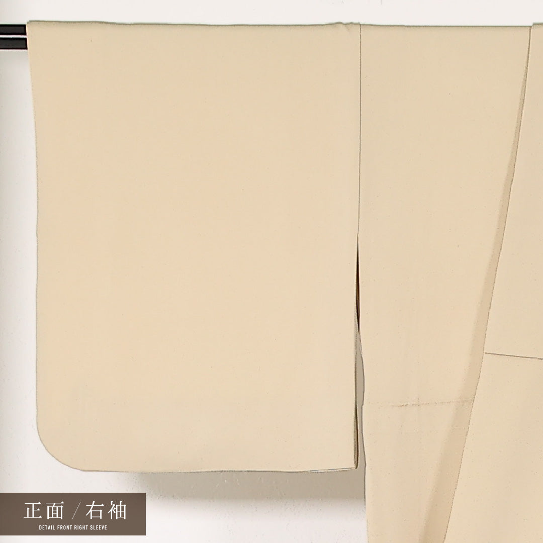 付下げ 単衣 身丈159cm 裄丈64cm 正絹 Bランク 一つ紋 (蔦) セミフォーマル 広衿 Mサイズ 金彩 創作柄 クリーム系 RP 1218-17411