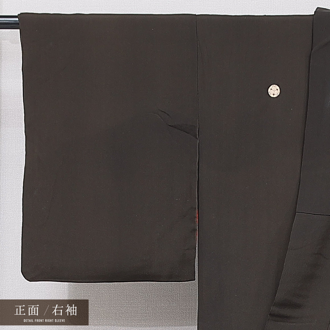 アンティーク 黒留袖 袷 身丈154cm 裄丈62cm 正絹 Bランク 五つ紋 (三つ割り桔梗) 広衿 Sサイズ 松鶴 黒系 RP 1213-07080