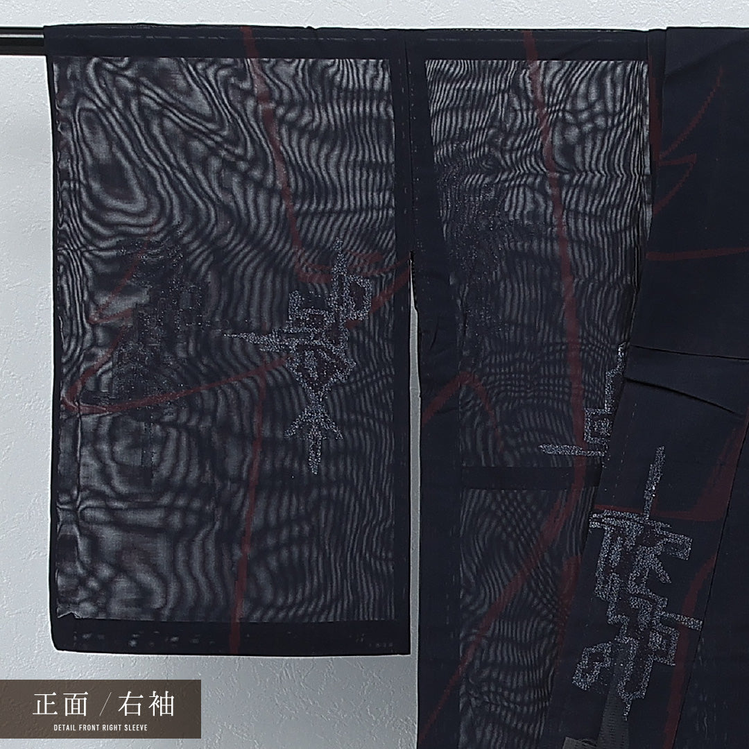 アンティーク 夏物 小紋 二重紗 身丈152cm 裄丈63cm 正絹 Aランク 広衿 XSサイズ 漆糸 創作柄 紺系 RP 1221-17250