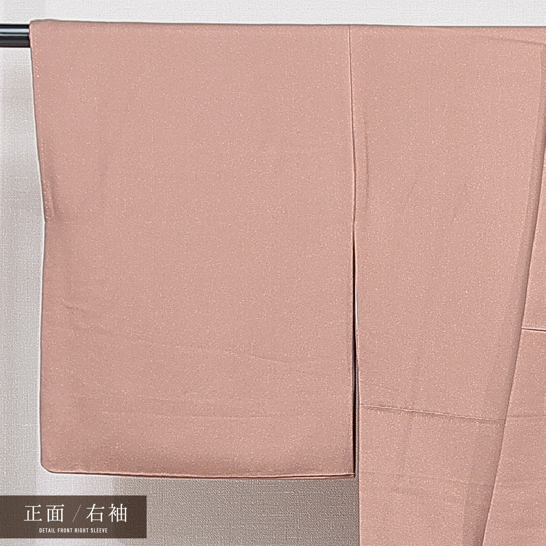 色留袖 袷 身丈163cm 裄丈65cm 正絹 Sランク 三つ紋 (藤輪に剣片喰) フォーマル 広衿 Lサイズ 比翼 鳳凰 牡丹 紫系 RP 1214-06988