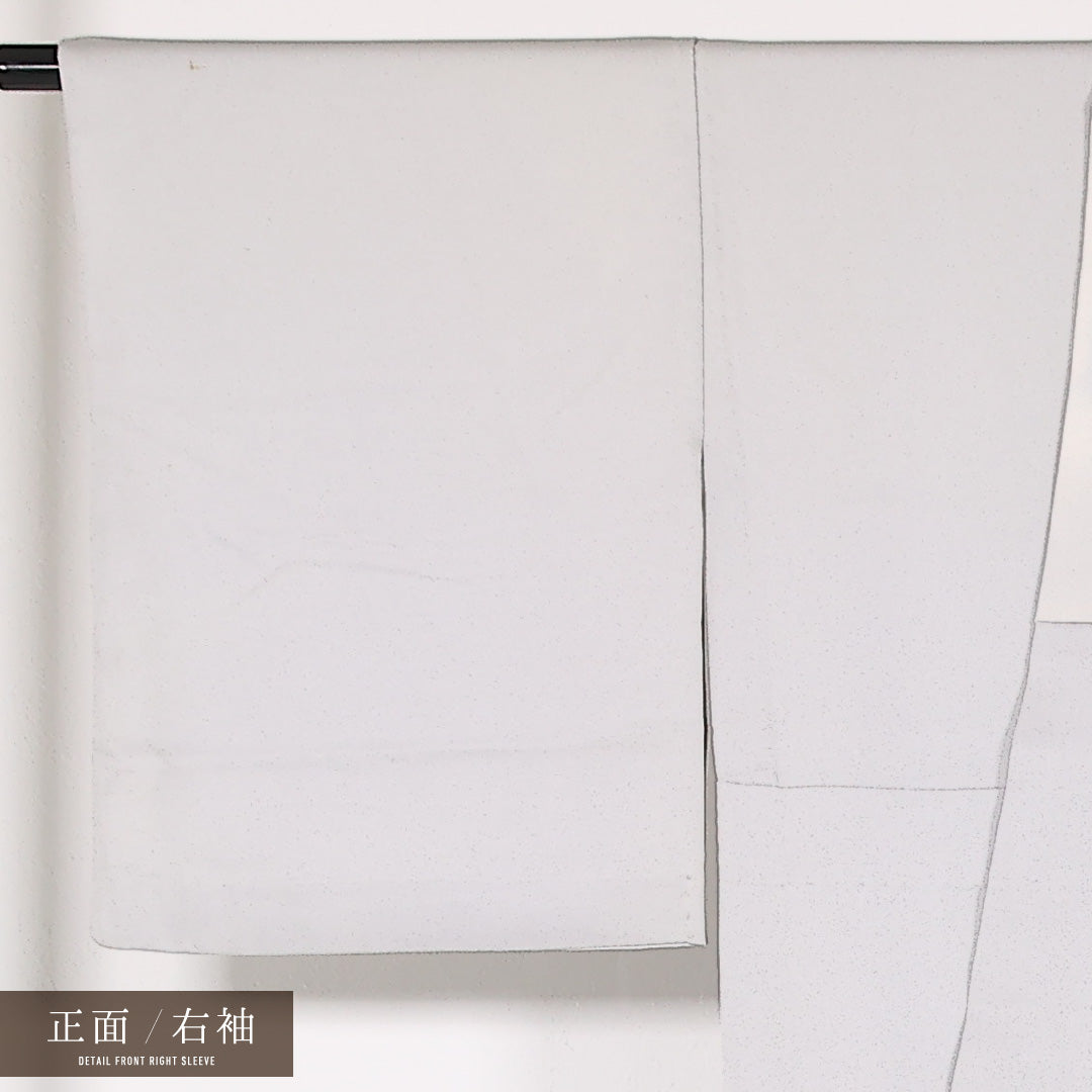 訪問着 単衣 身丈160cm 裄丈60cm 正絹 Bランク セミフォーマル 広衿 Mサイズ 椿 グレー系 RP 1217-17520