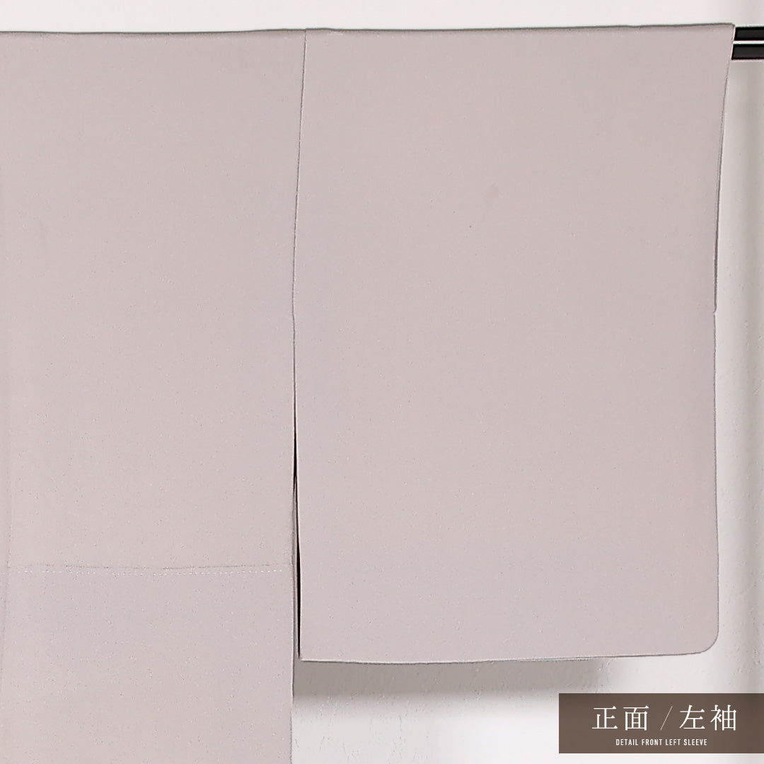 色留袖 袷 身丈163cm 裄丈64cm 正絹 Aランク 一つ紋 (五三桐) セミフォーマル 広衿 Sサイズ 琳派 金彩 金駒刺繍 群鶴流水紋 紫系 RP 1214-17524