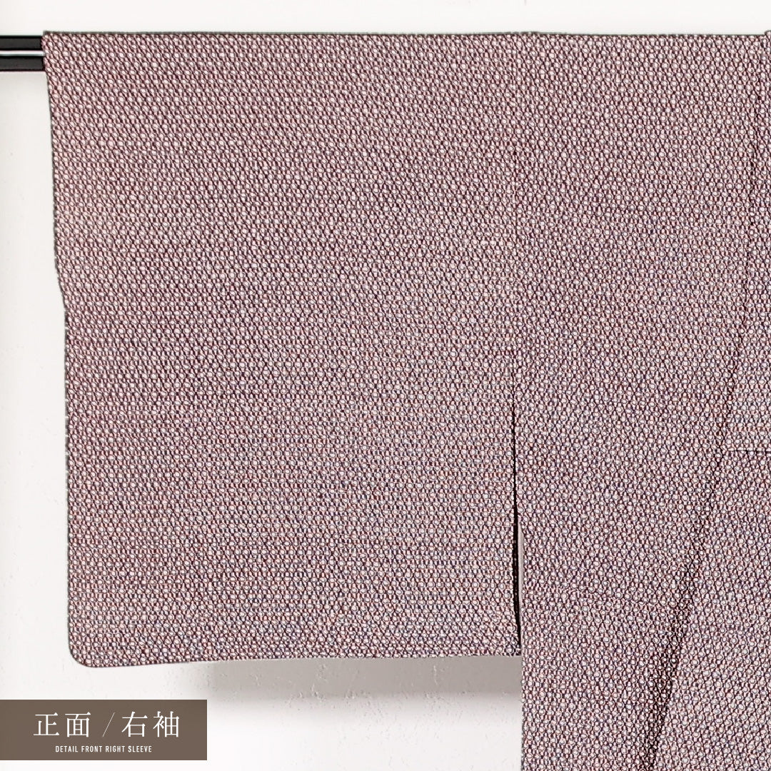小紋 袷 身丈151cm 裄丈62cm 正絹 Cランク インフォーマル 広衿 XSサイズ 創作柄 紫系 RP 1221-17399
