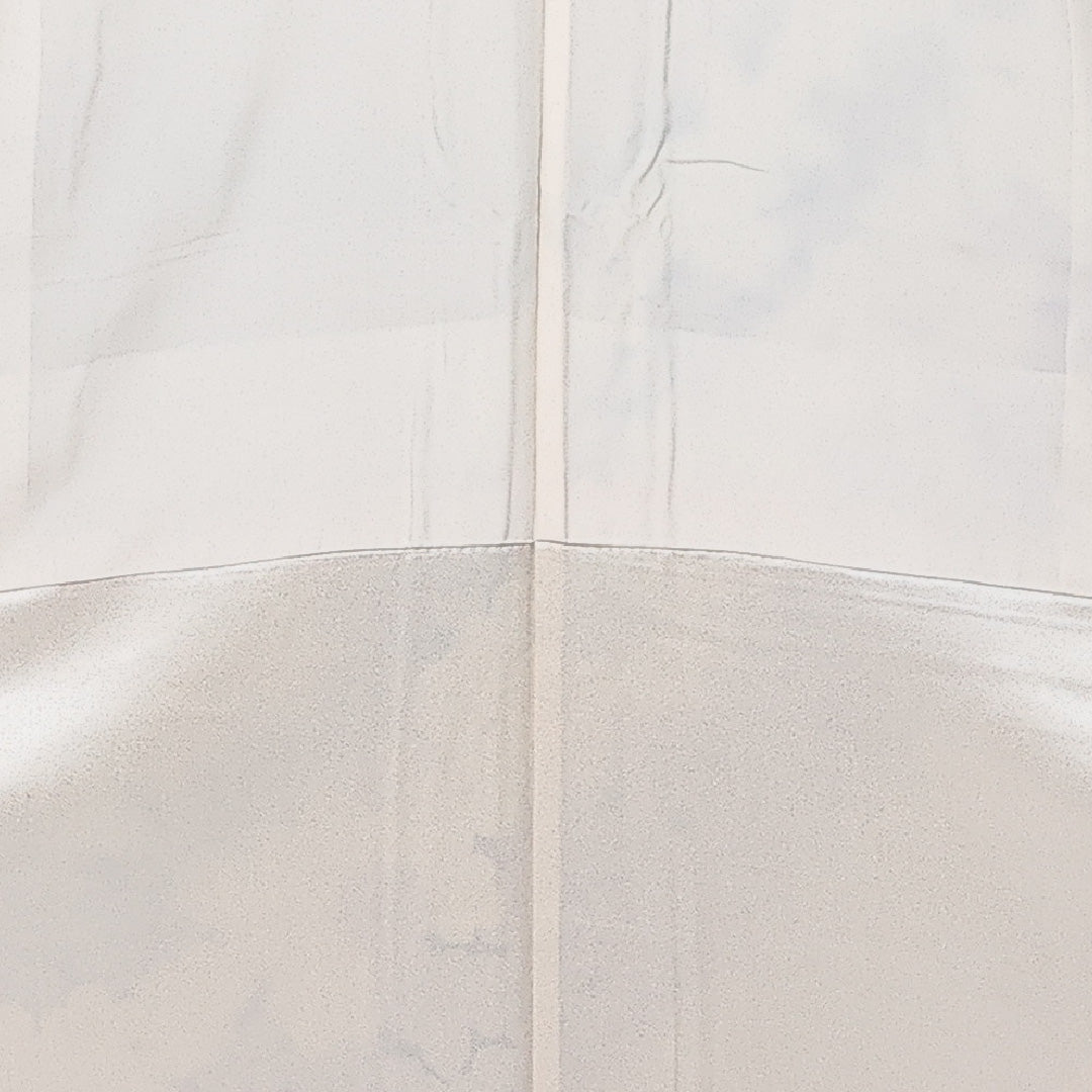 振袖 袷 身丈162cm 裄丈67cm 正絹 Aランク フォーマル 広衿 Lサイズ 花柄 白系 RP 1215-06870