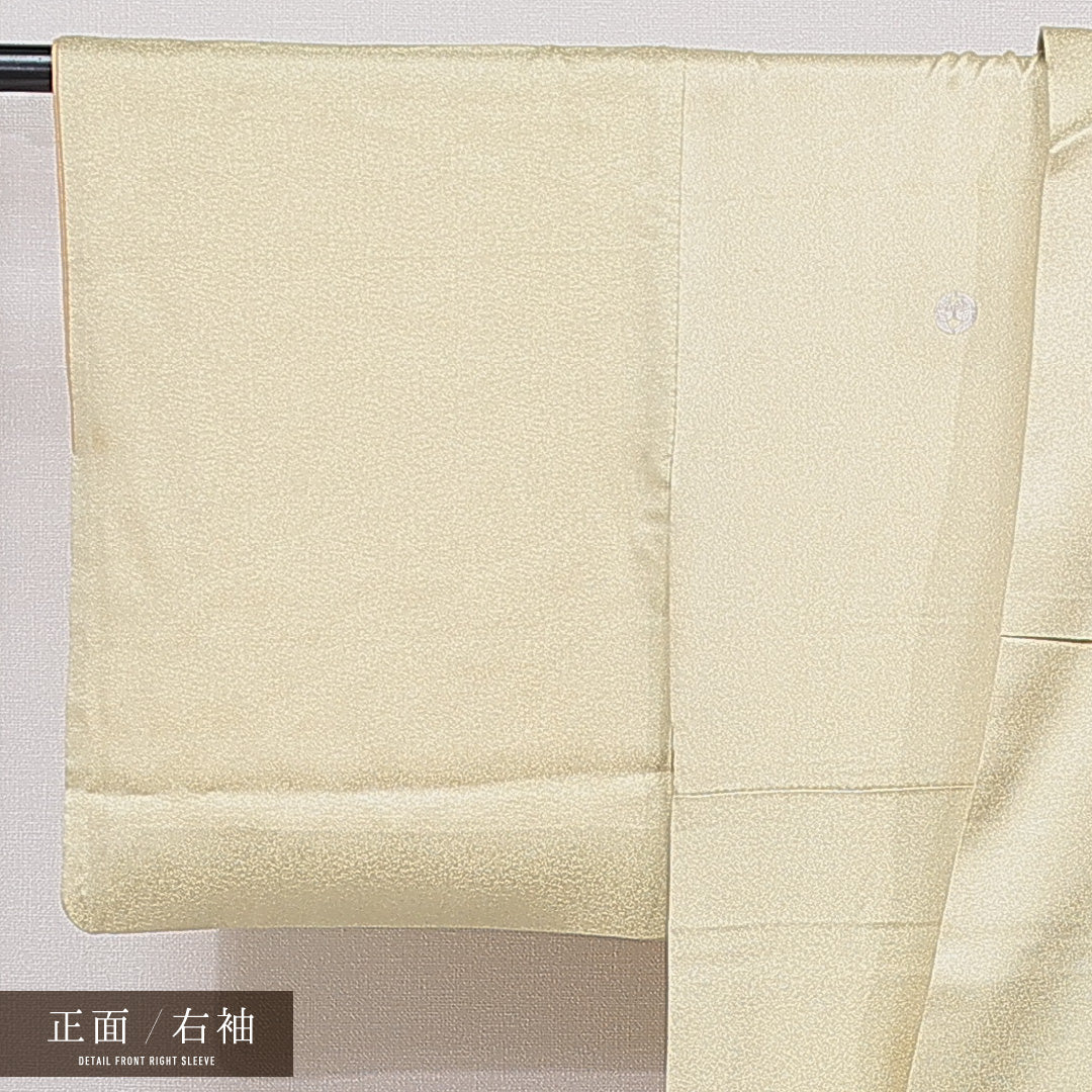 色留袖 袷 身丈154cm 裄丈62cm 正絹 Cランク 三つ紋 (対い鶴) フォーマル 広衿 Sサイズ 蘇州刺繍 相良刺繍 菊 黄系 LP 1214-07084