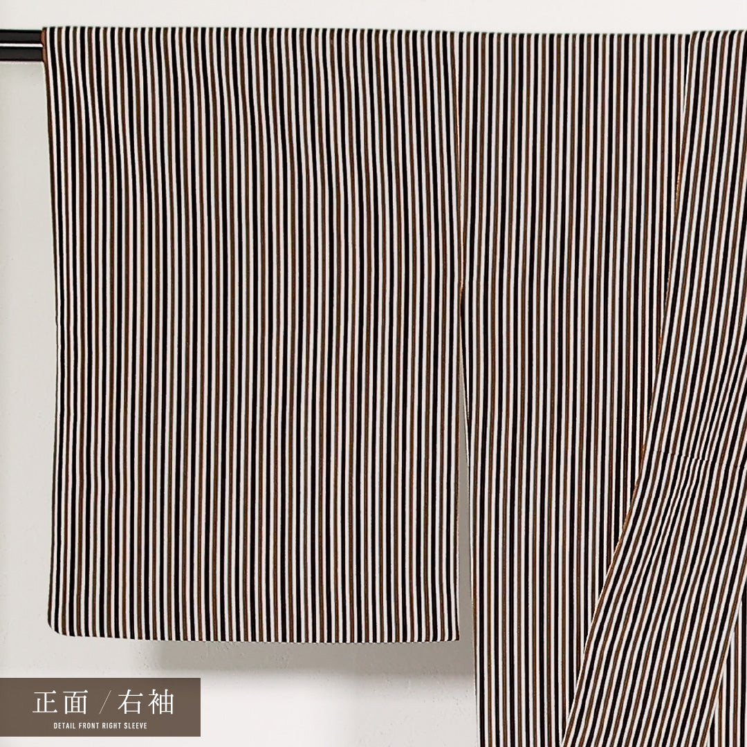 洗える着物 小紋 袷 身丈156cm 裄丈64cm ポリエステル Sランク インフォーマル 広衿 XLサイズ 縞 茶系 RP 1221-17538