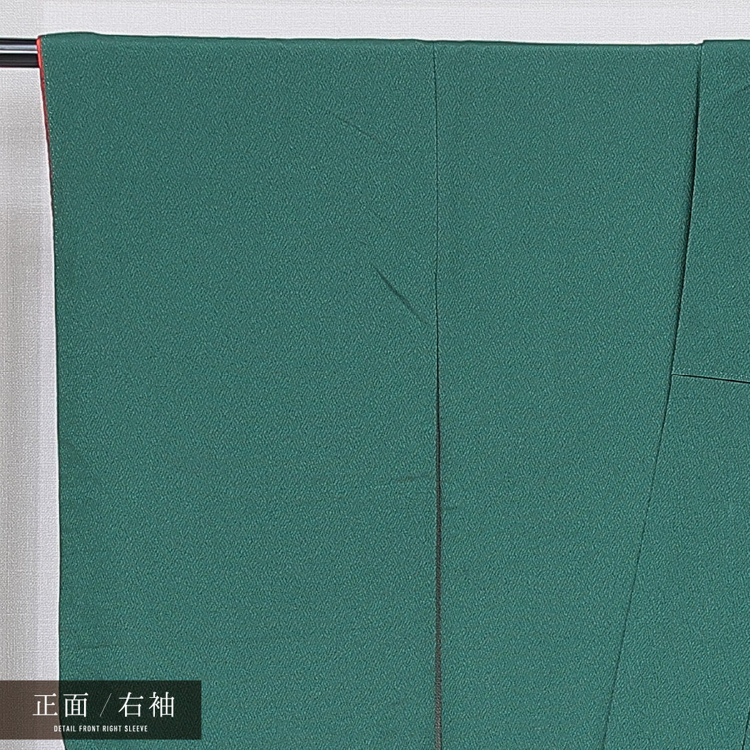 洗える着物 小振袖 袷 身丈164cm 裄丈65cm ポリエステル Sランク セミフォーマル 広衿 Lサイズ 桜 緑系 RP 1216-07074
