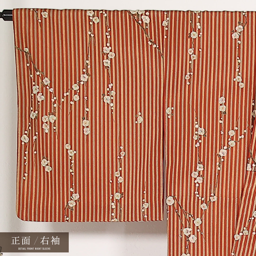 洗える着物 小紋 袷 身丈167cm 裄丈65cm ポリエステル Sランク インフォーマル 広衿 Mサイズ 梅 縞 朱系 RP 1221-17545