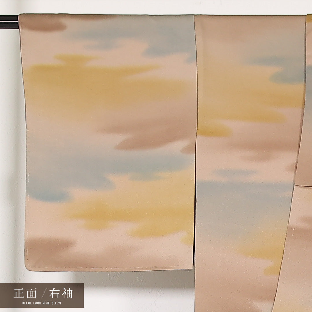 小紋 袷 身丈164cm 裄丈64cm 正絹 Sランク インフォーマル 広衿 Lサイズ 霞 多色系 M4 1221-17474