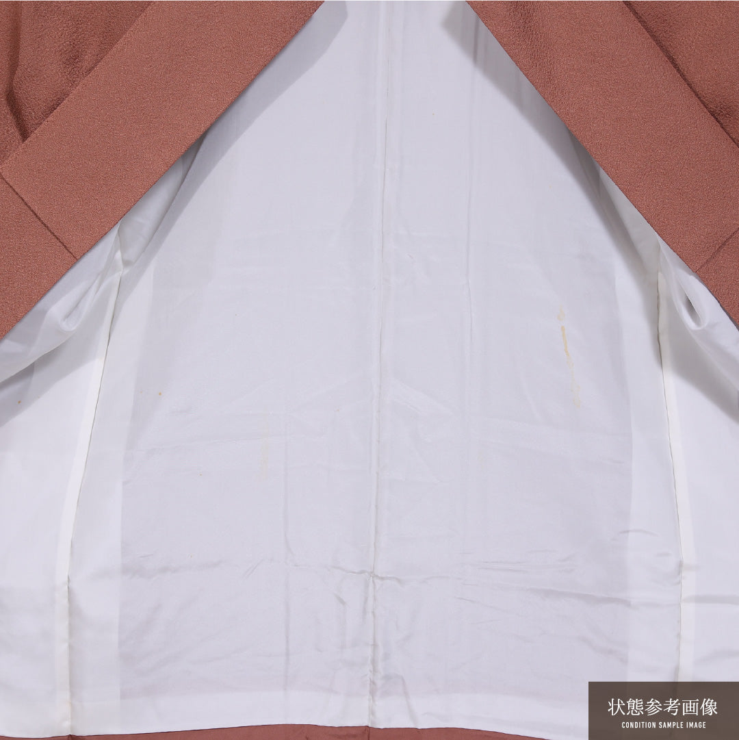 江戸小紋 (鮫) 袷 身丈153cm 裄丈63cm 正絹 Cランク 一つ紋 (蔦) セミフォーマル 広衿 Sサイズ 朱系 LP 1220-11871